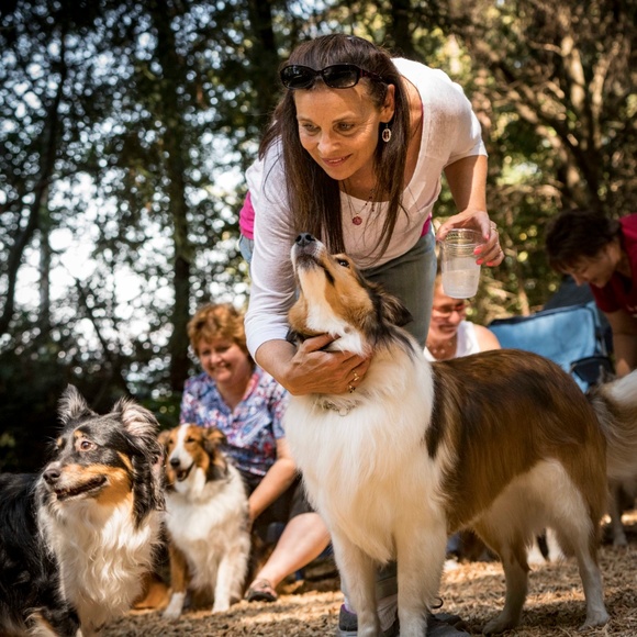 Meet your Posher, Jean - Picture 3 of 8